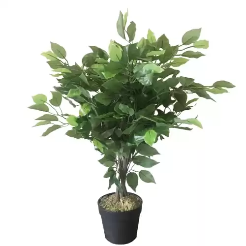 Leaf Mini Ficus Artificiel - Vert, 60 cm